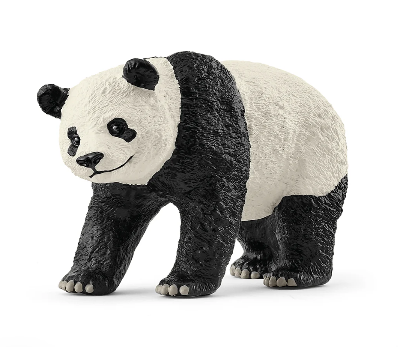 Giant Panda