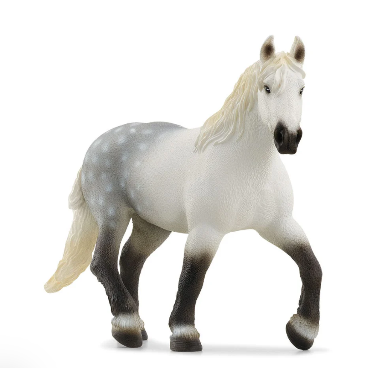 Percheron Mare