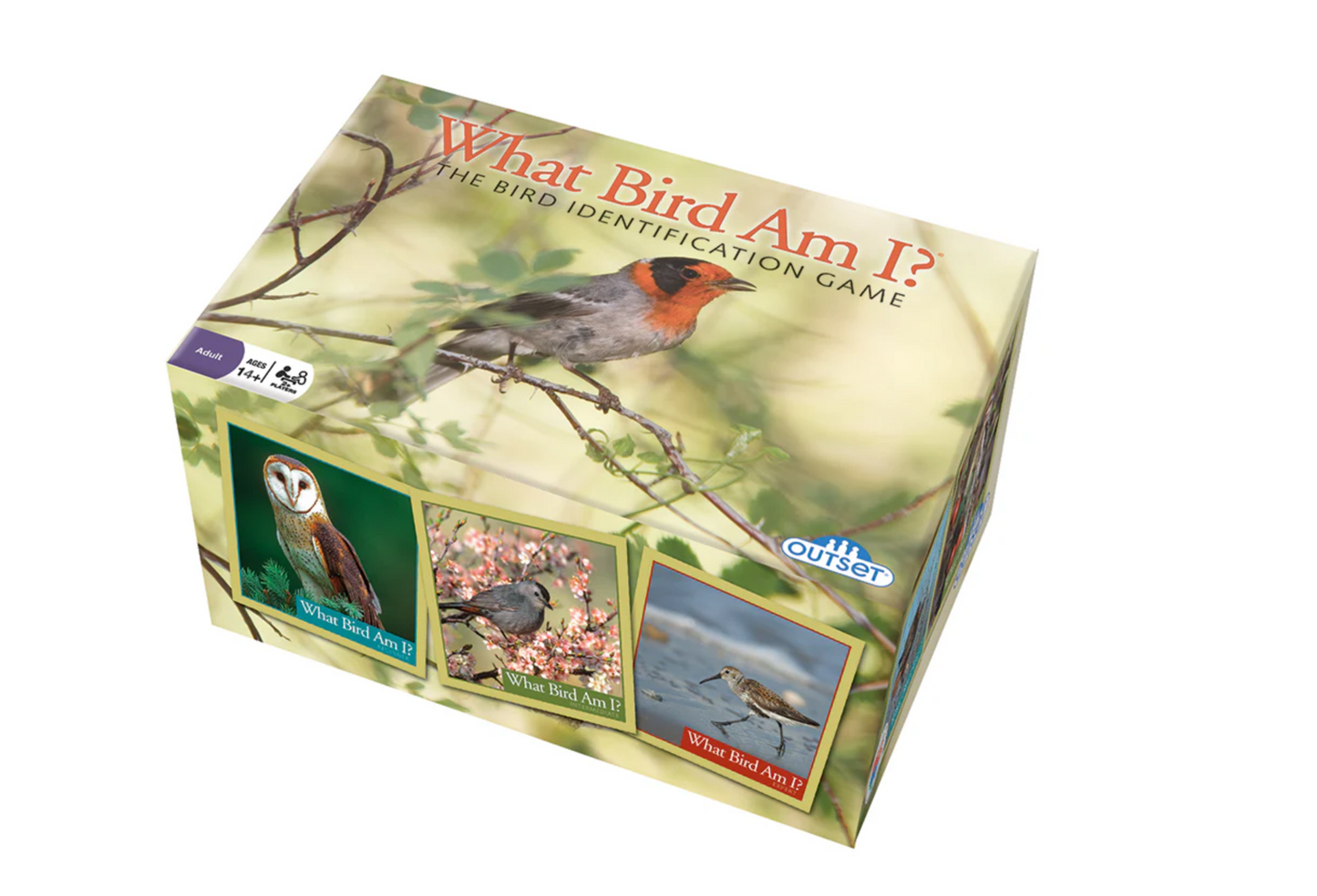 What Bird Am I?
