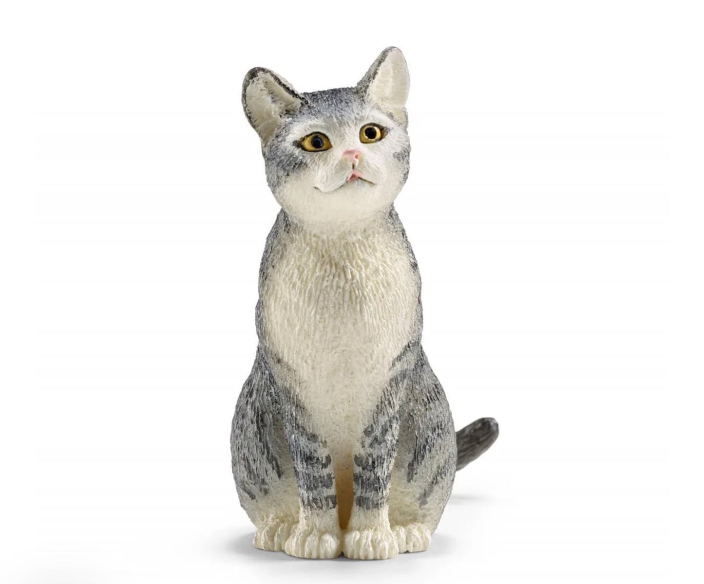 Cat, sitting