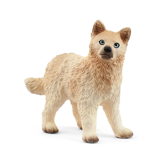 Arctic Wolf Cub