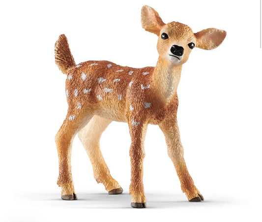 White-Tailed Fawn