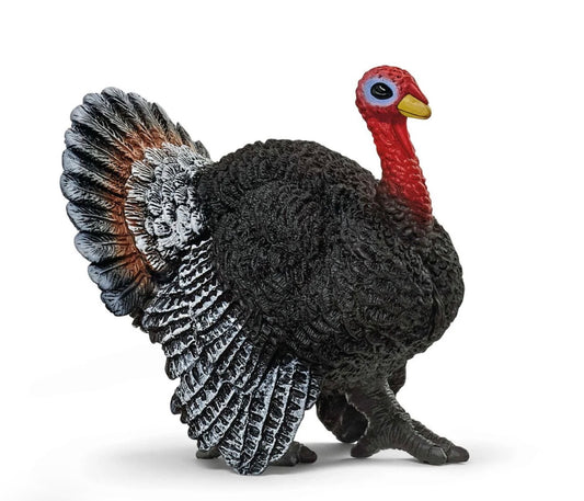 Turkey