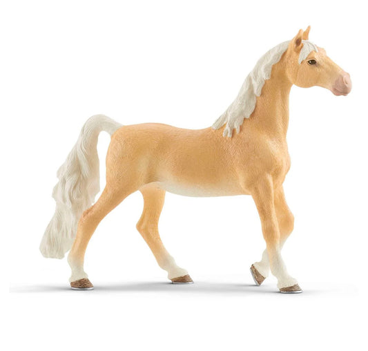 American Saddlebred Mare