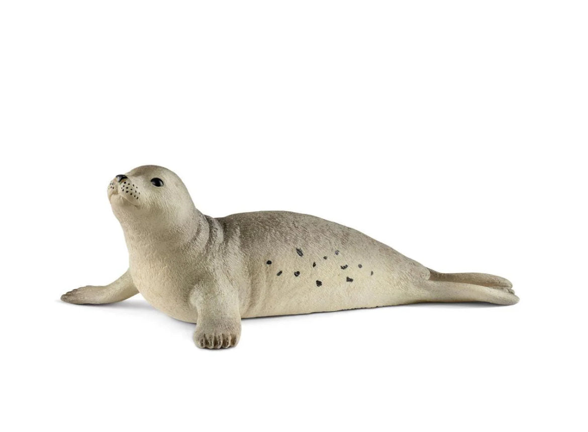 Seal
