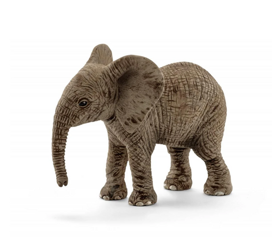 African Elephant Calf