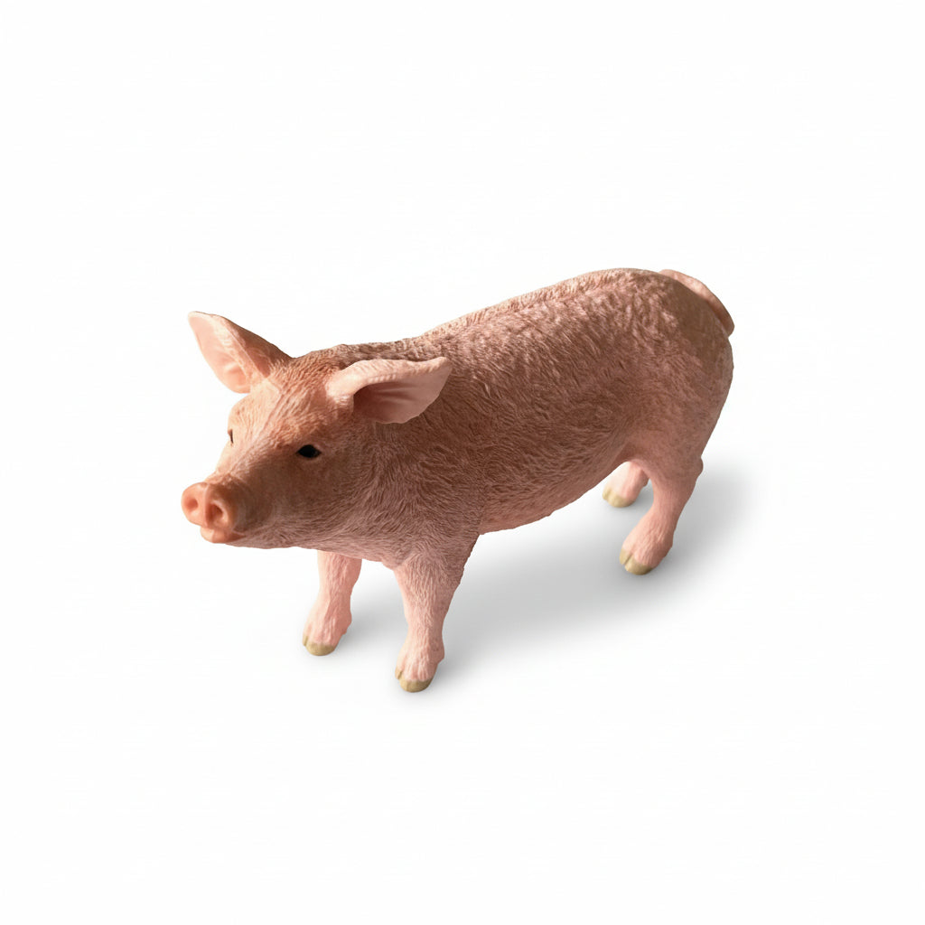 Pig