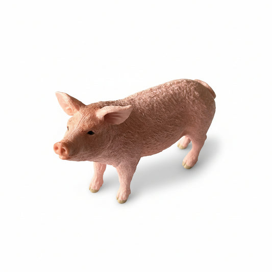 Pig