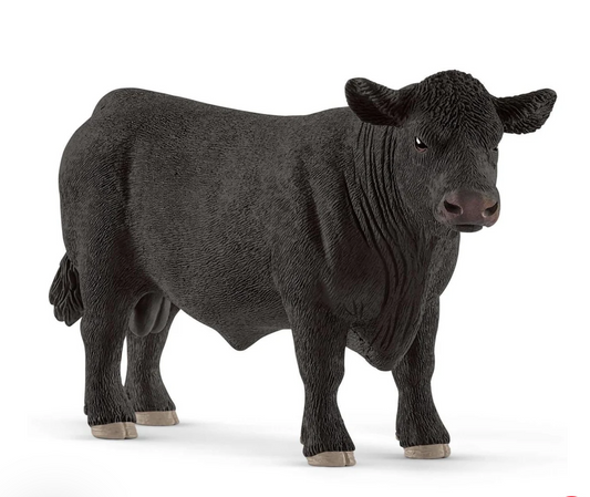 Black Angus Bull
