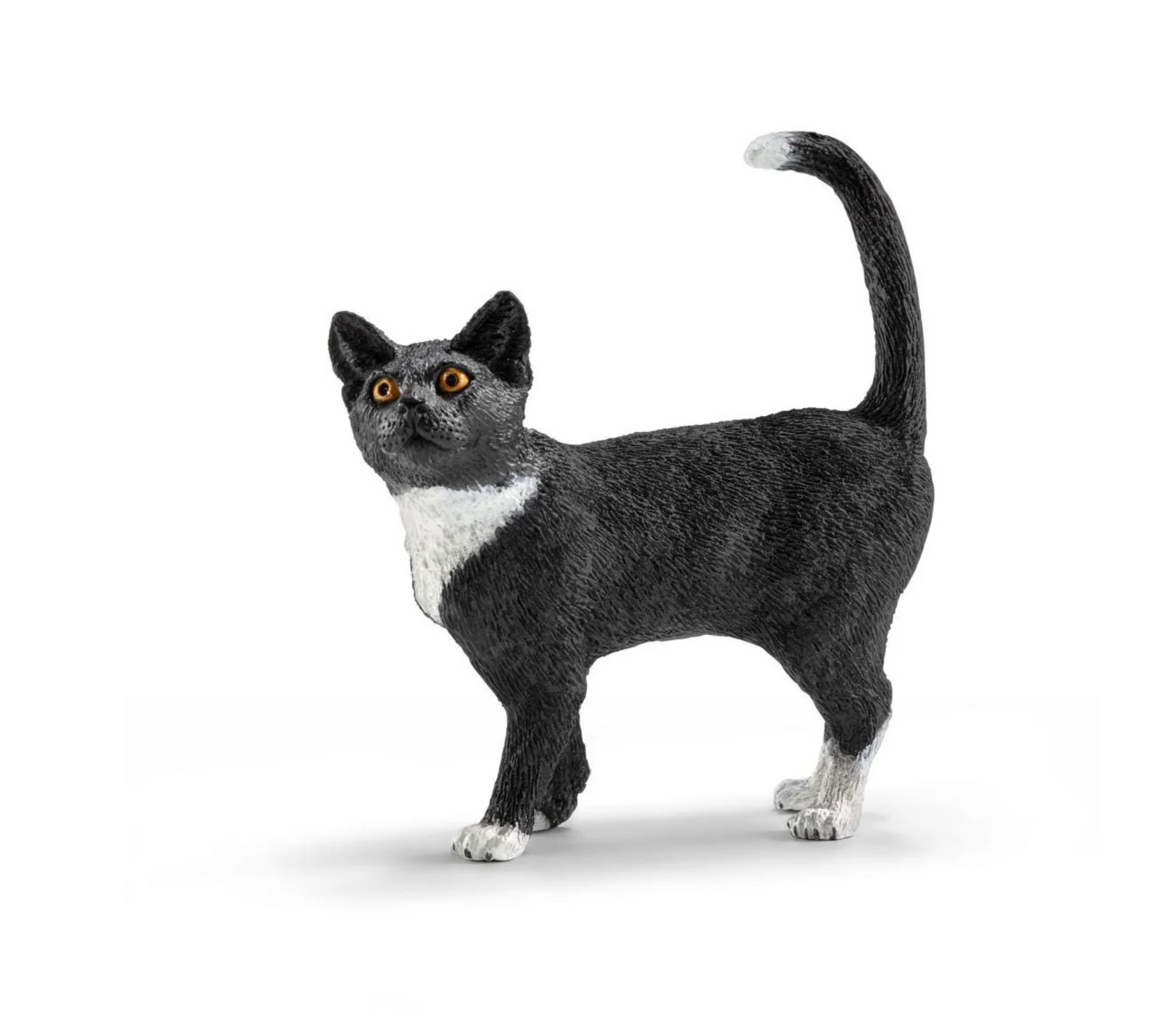 Black Cat