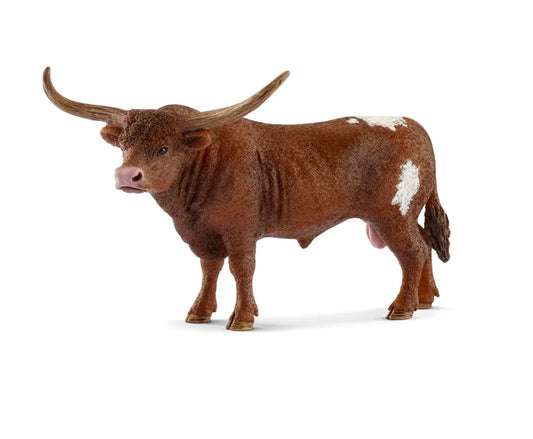 Texas Longhorn Bull