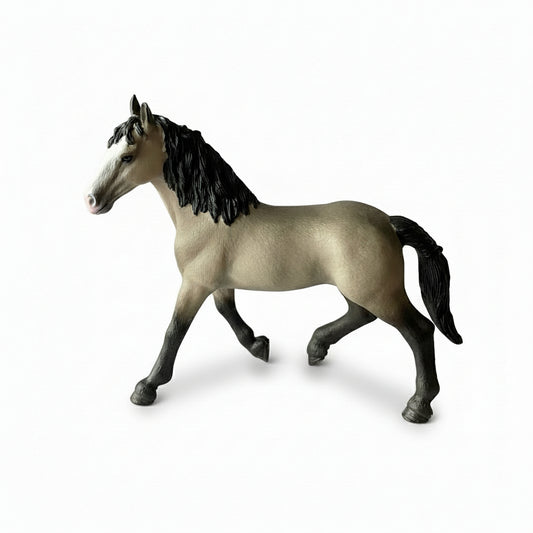 Cheval de Selle Francais Mare