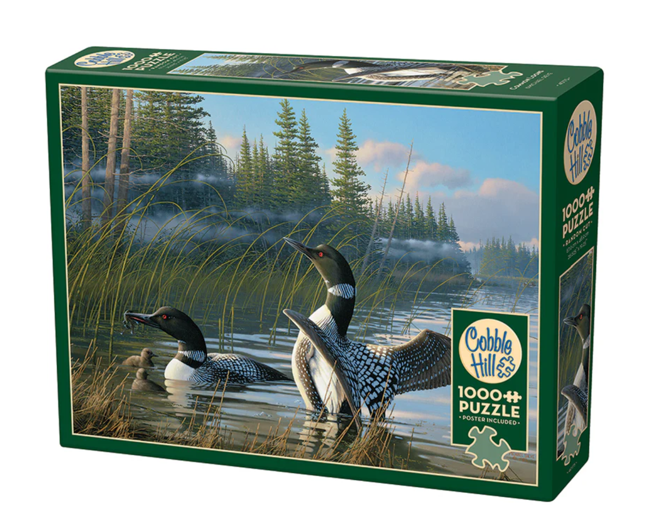Common Loons - 1000 pc