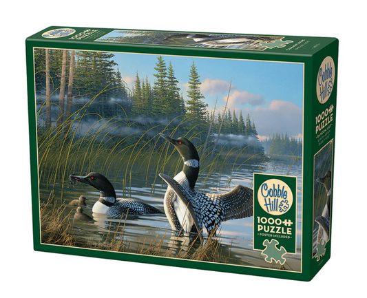 Common Loons - 1000 pc