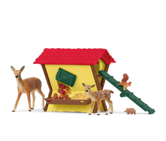 Feeding the Forest Animals