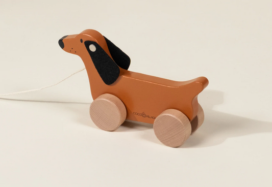 Dog Pull Toy