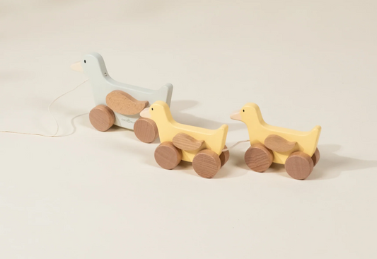 Duck Family Pull Toy