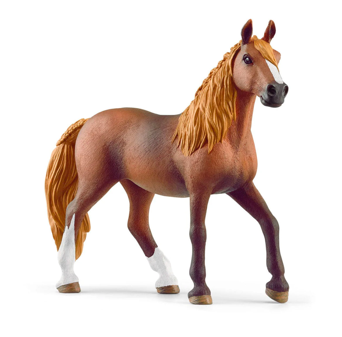 Paso Peruano Mare