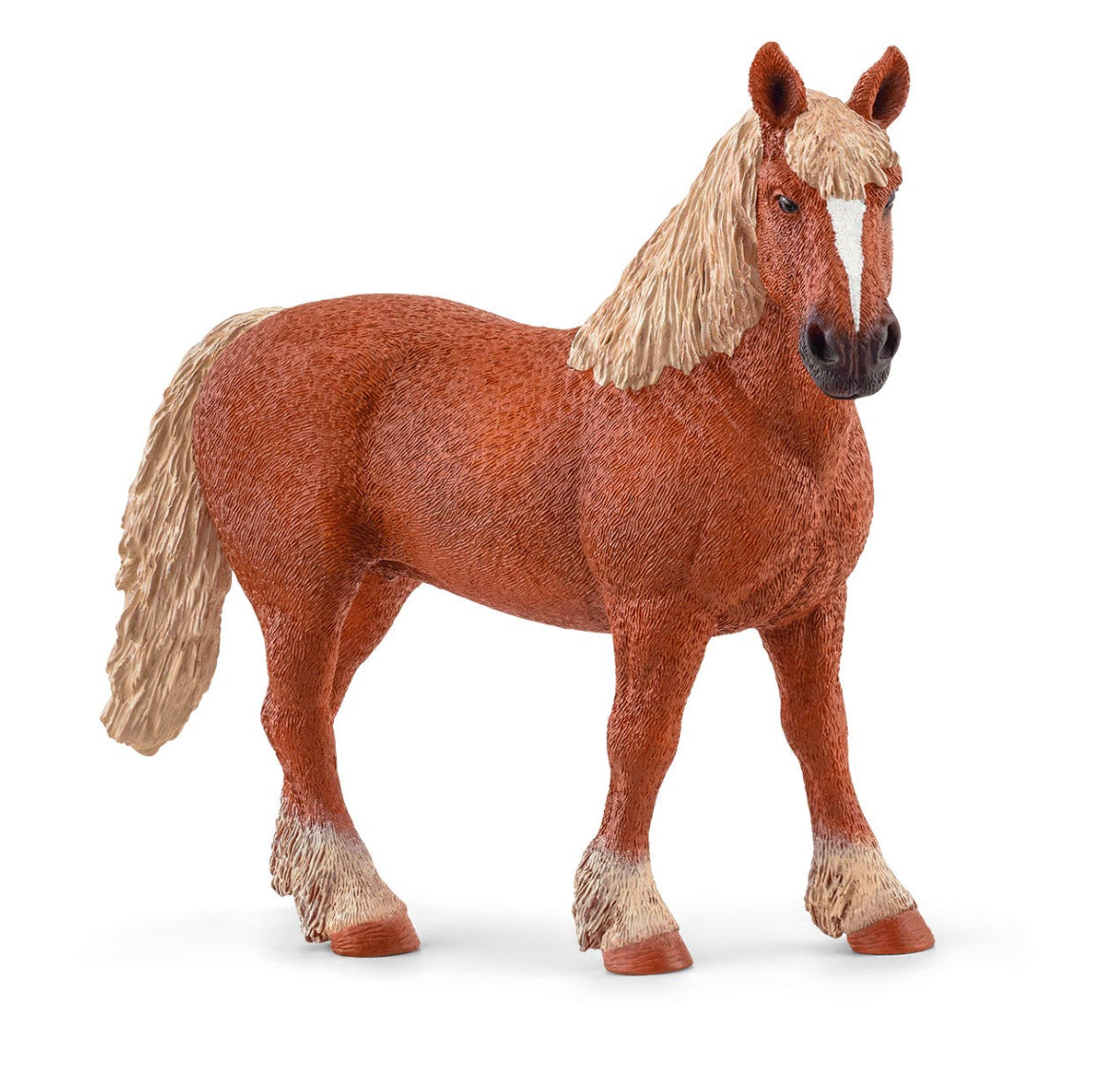 Belgian Draft Horse