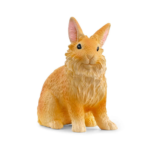 Lionhead Rabbit