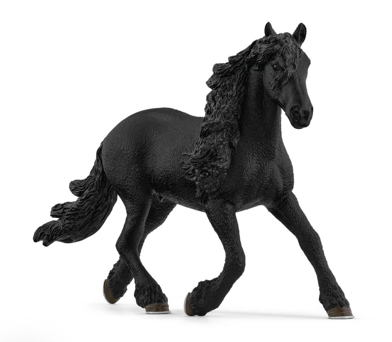 Friesian Stallion