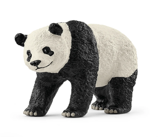 Giant Panda