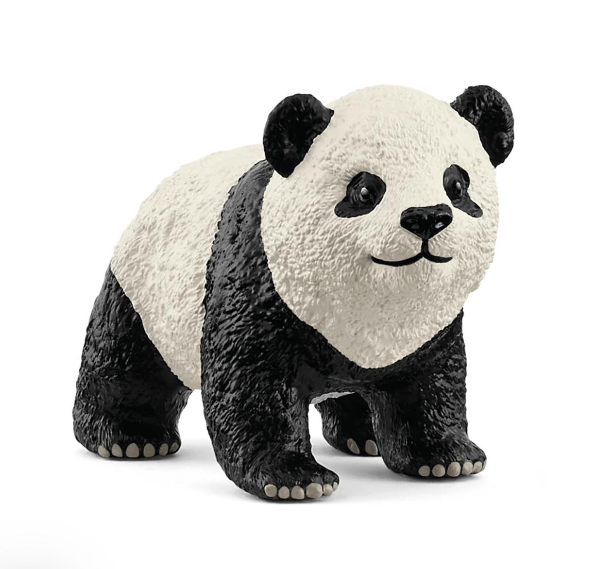Giant Panda Cub