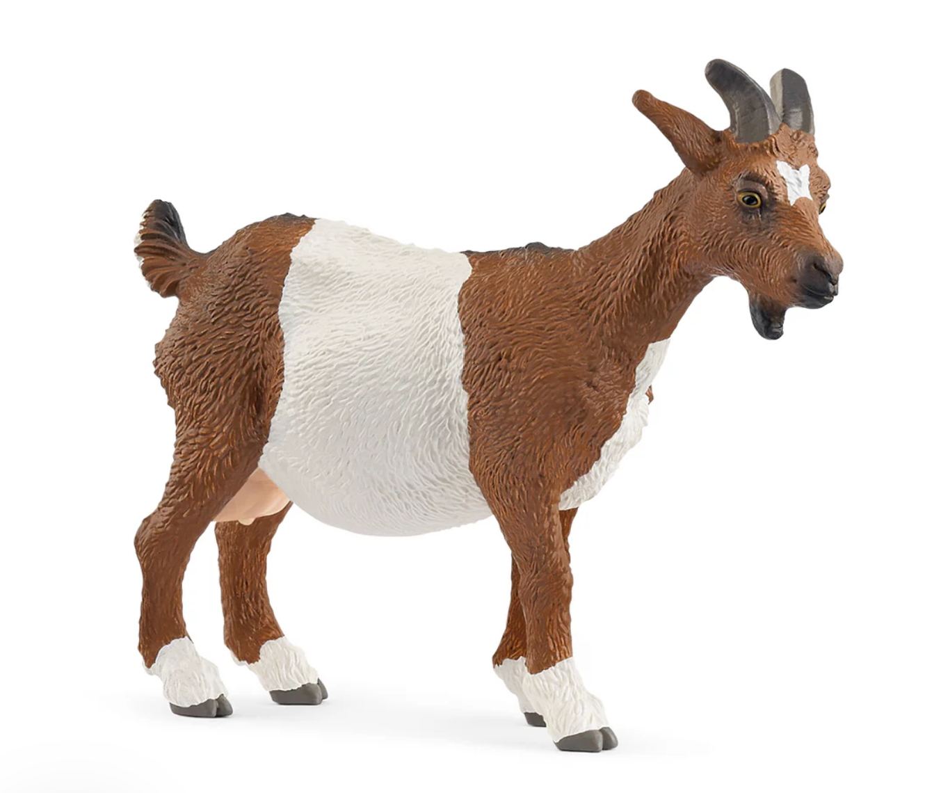 Goat