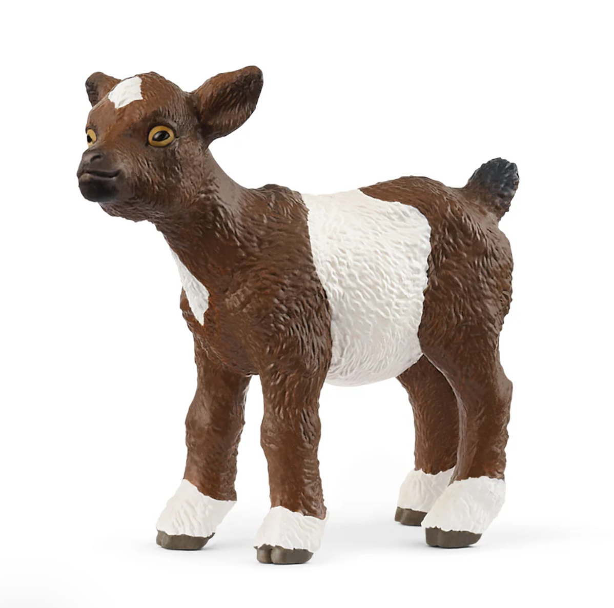 Goat Kid