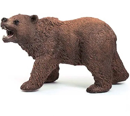 Grizzly Bear