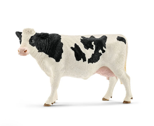 Holstein Cow