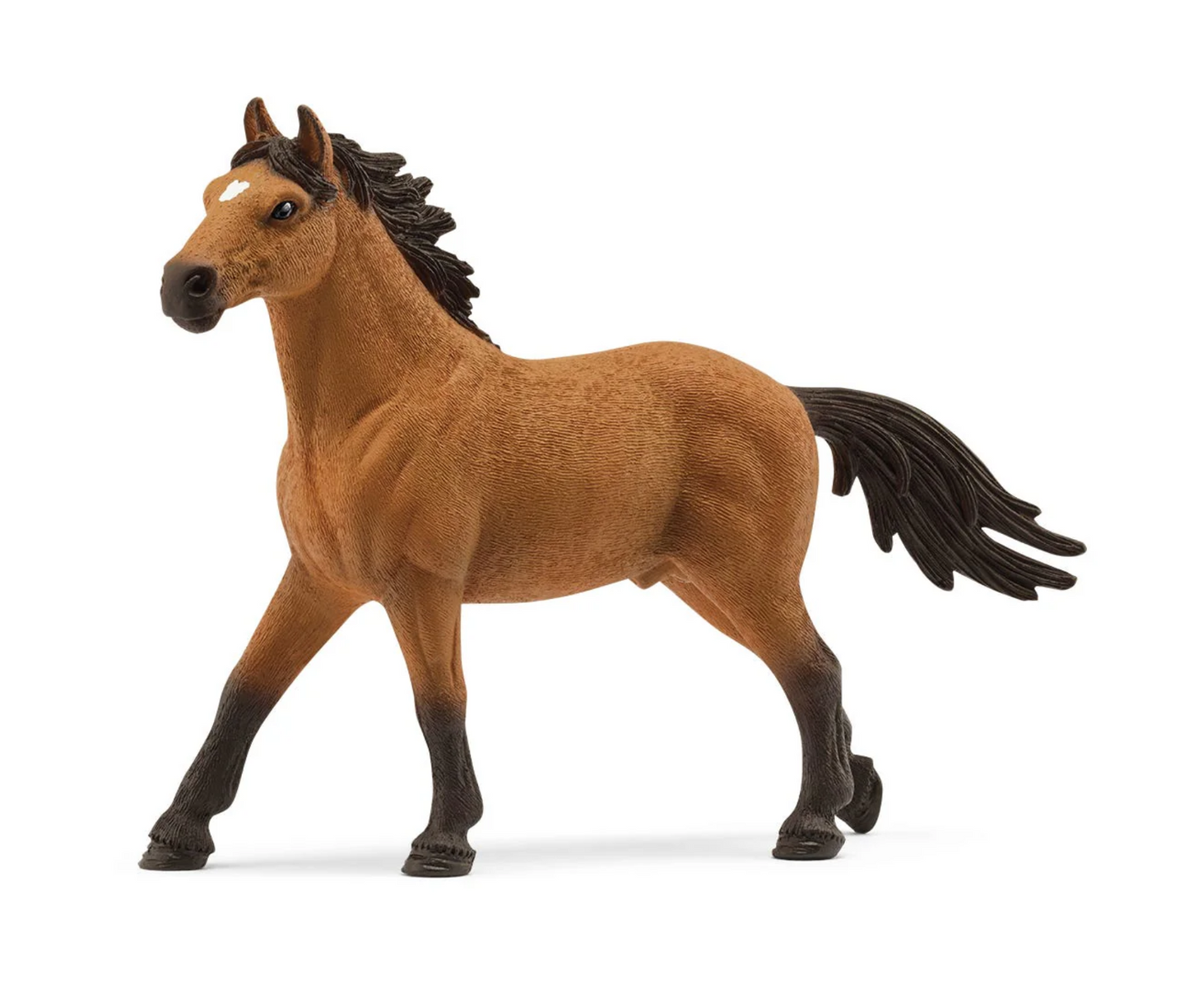 Mustang Stallion
