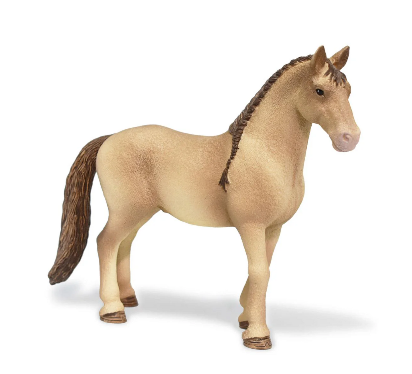 Lusitano Mare