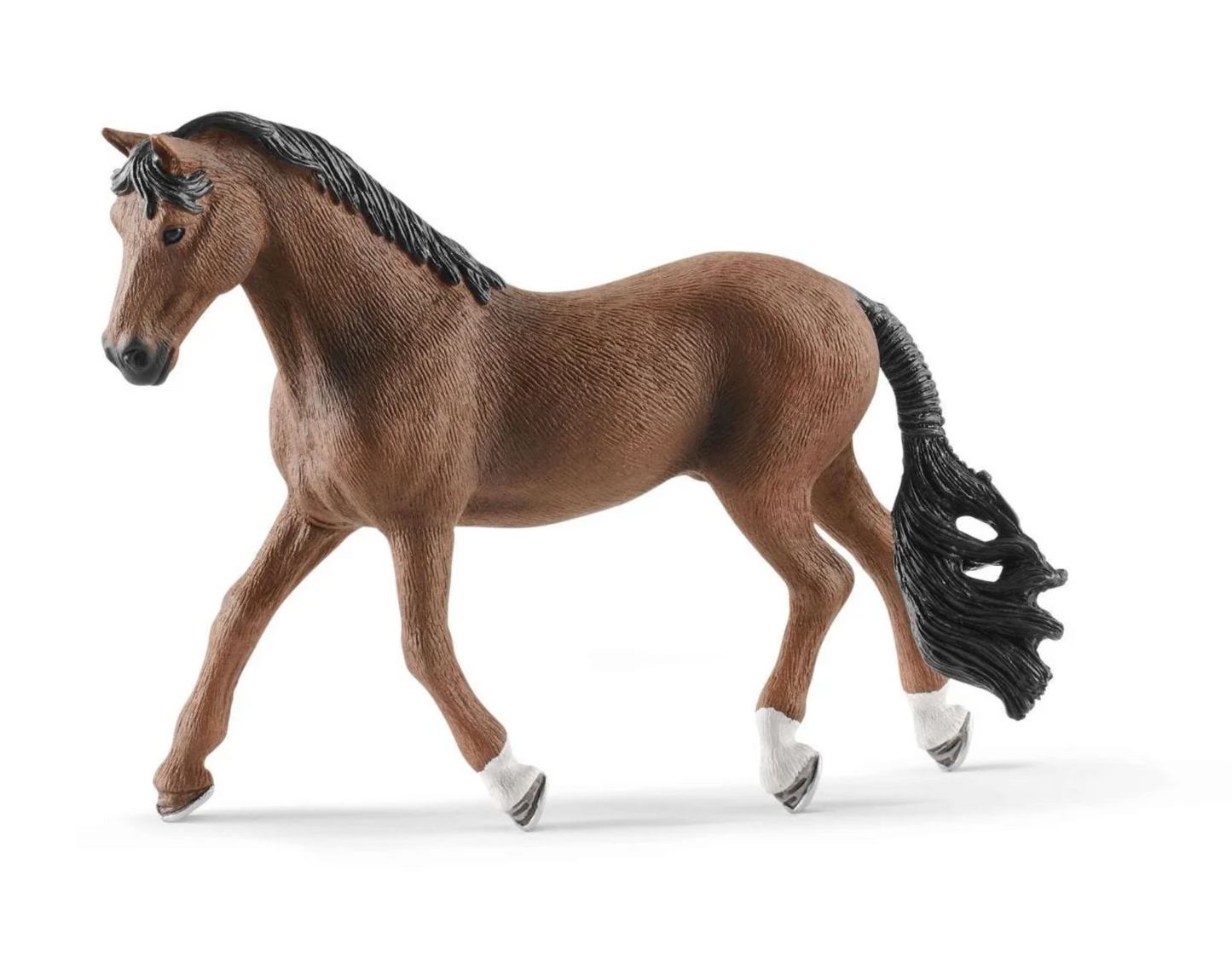 Trakehner Gelding