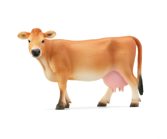 Jersey Cow