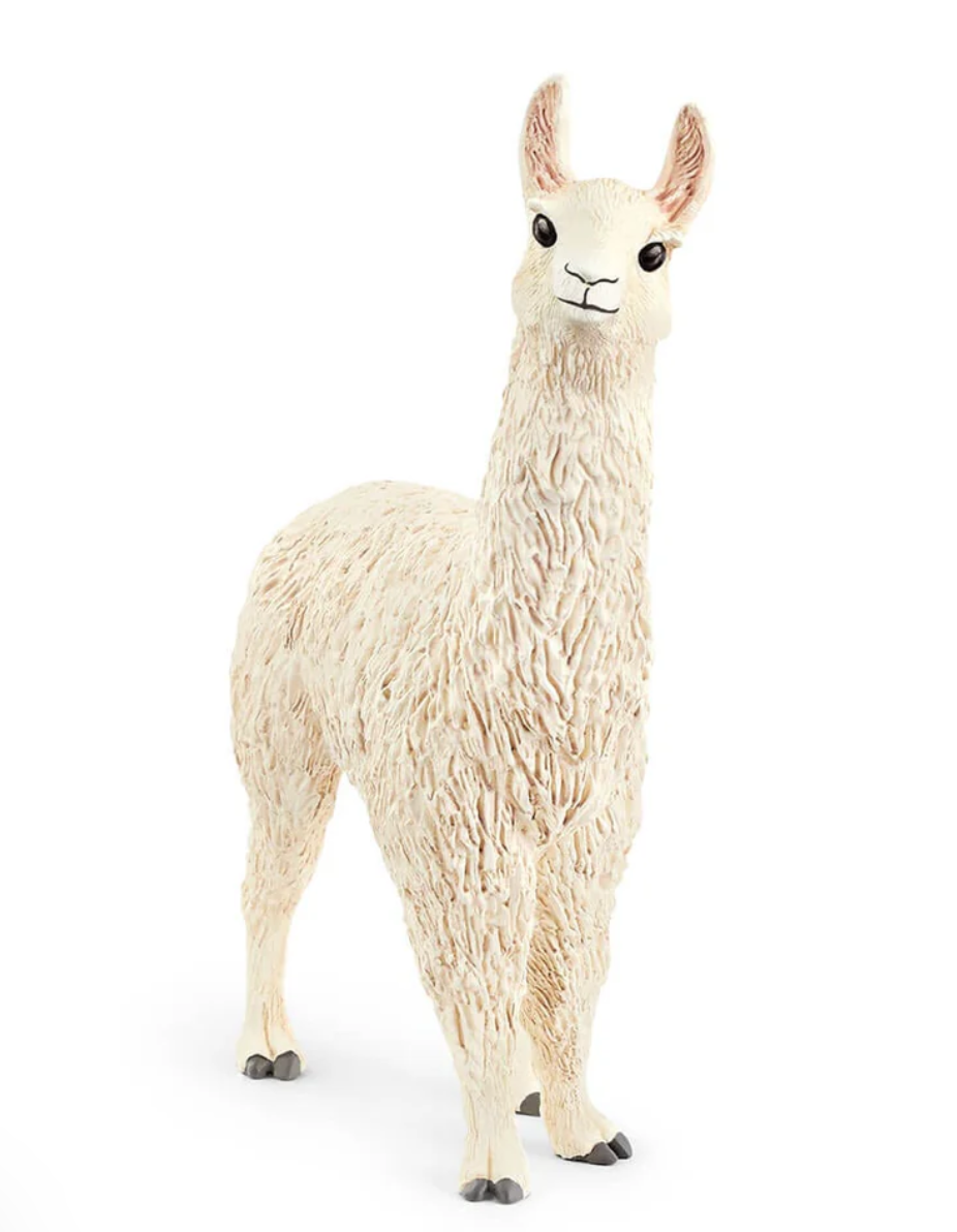 Llama