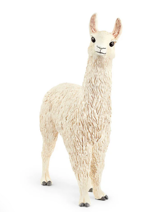 Llama