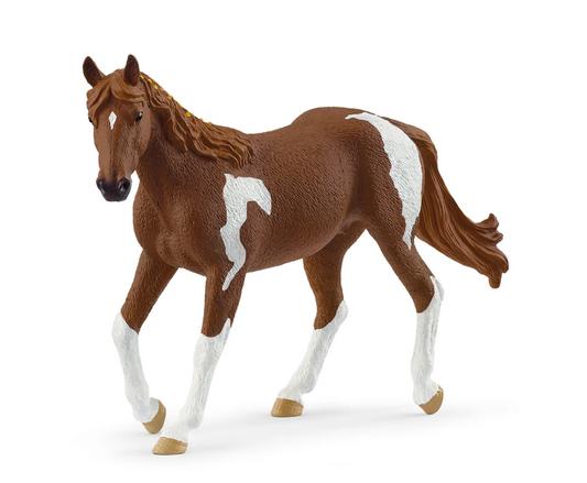 Paint Horse Mare