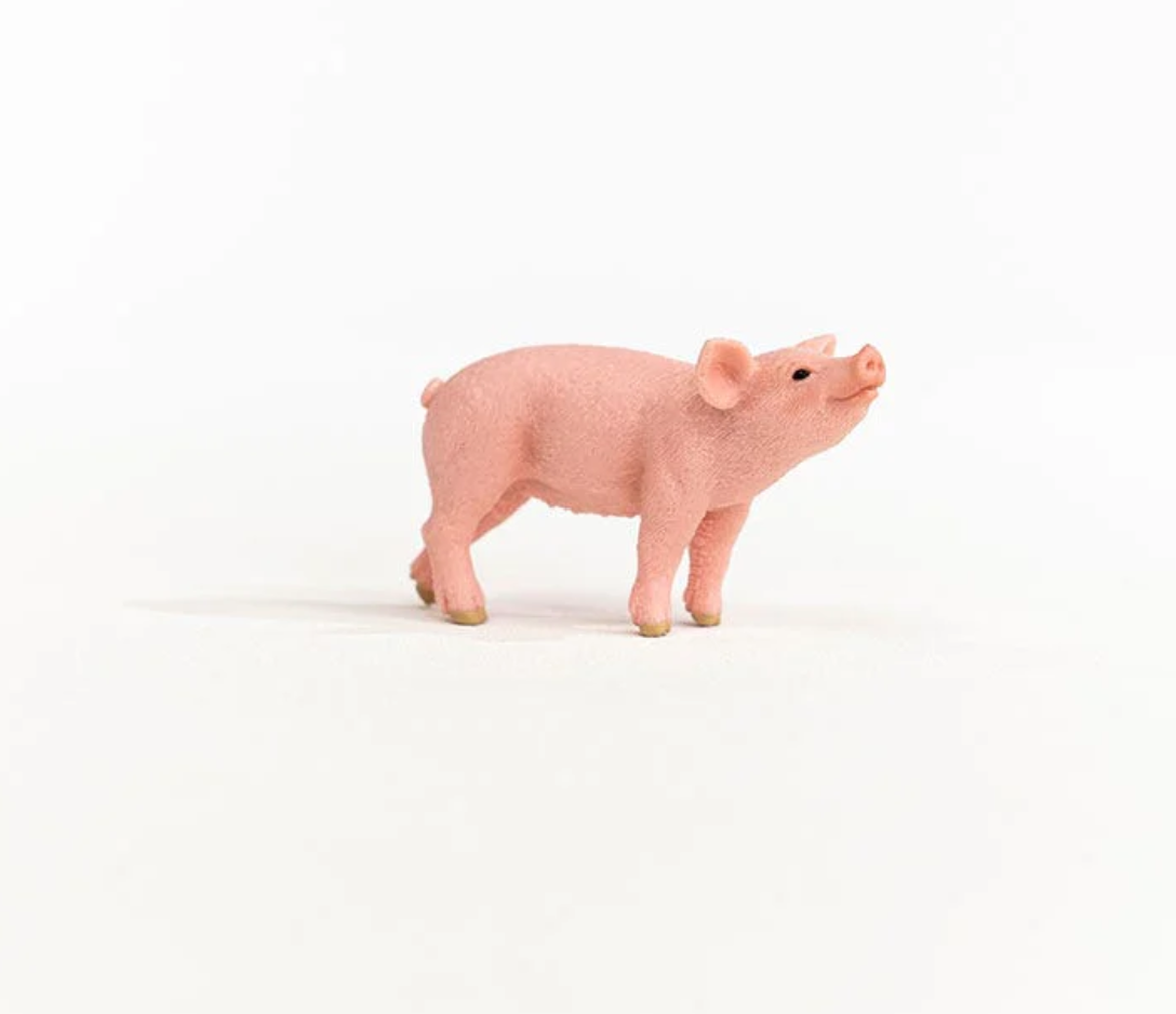 Piglet