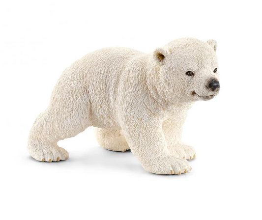 Polar Bear Cub