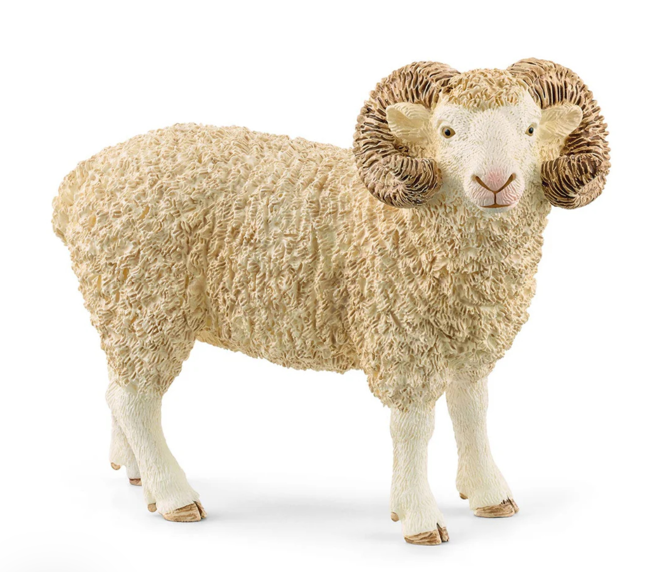 Ram