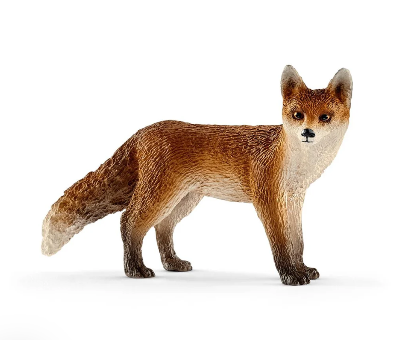 Red Fox