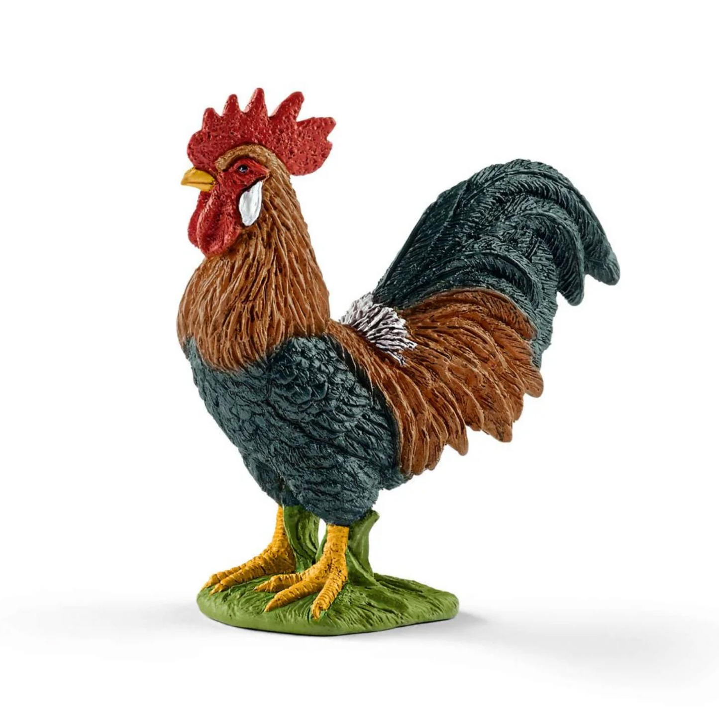 Rooster