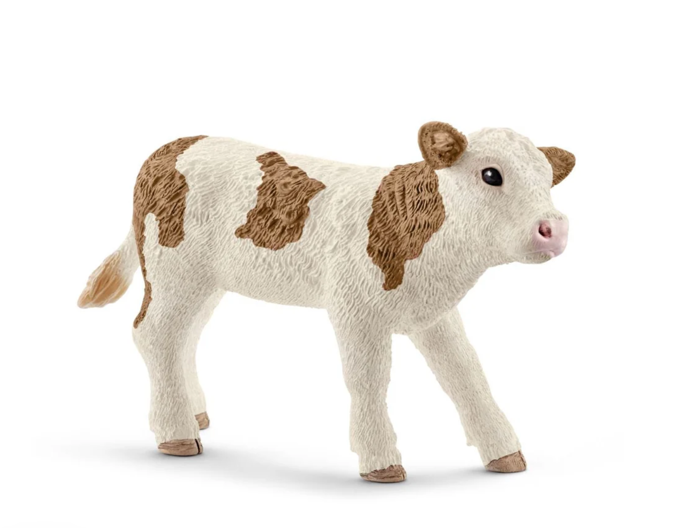 Simmental Calf