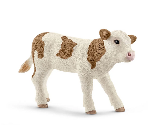Simmental Calf