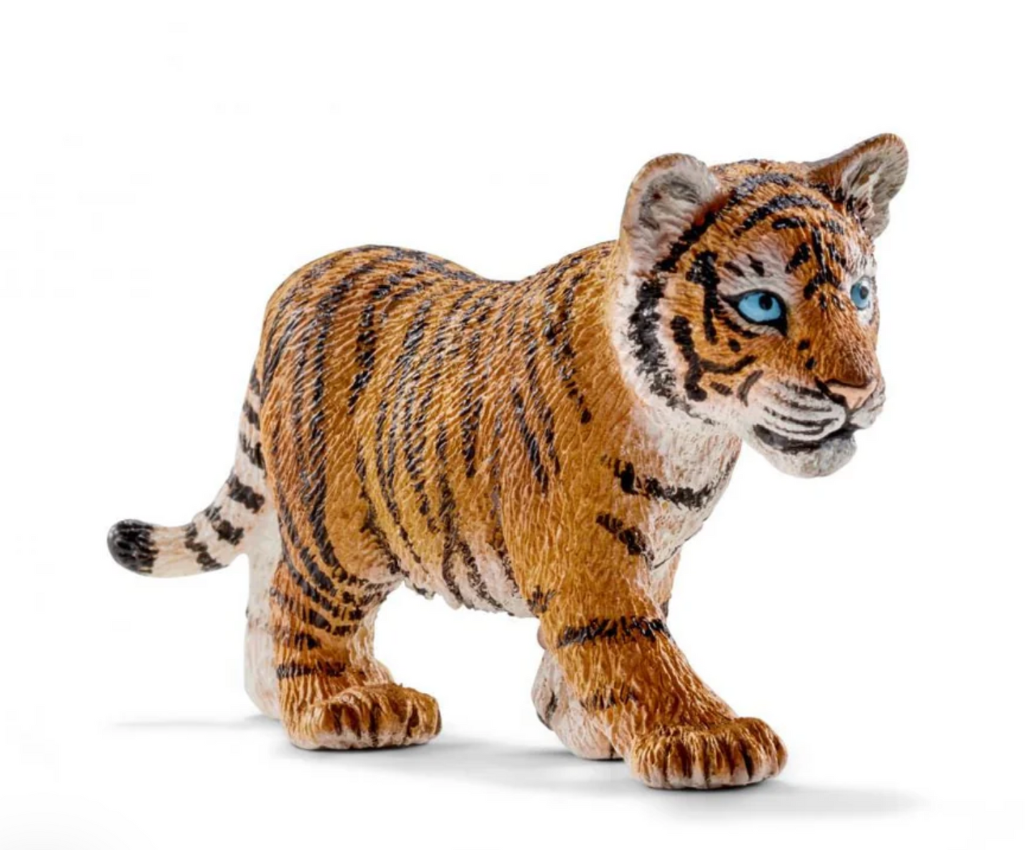 Tiger Cub