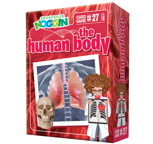 Prof. Noggin The Human Body