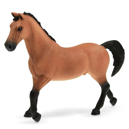 Trakehner Stallion